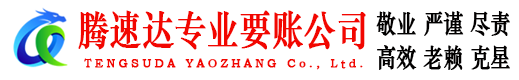 陆丰清债公司
